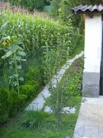 PICT0004.webp