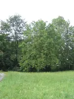 Umgebung1.webp