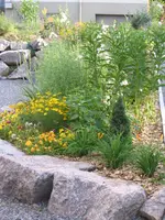 Blumengarten3.webp