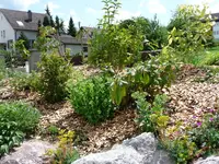 Hügel2.webp