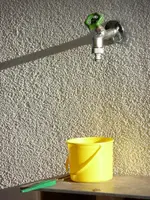 Schneckenbekämpfung.webp