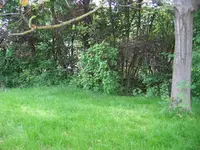unterm Nussbaum.webp