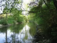 am Bach1.webp