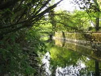 am Bach2.webp