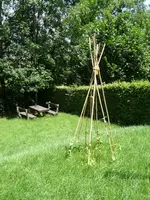 am Bach6.webp