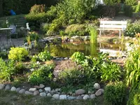 IMG_0753.webp
