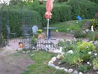 IMG_0799.webp
