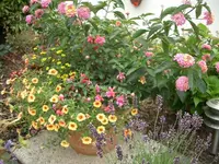 CIMG3798.webp