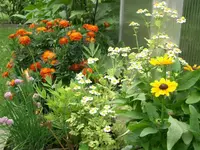 CIMG3836.webp