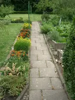 CIMG3841.webp