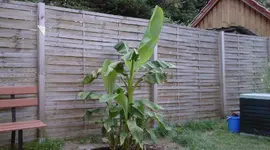 Foto0065.webp