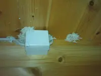 DSC00081.webp