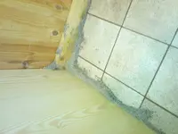 DSC00087.webp