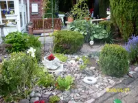 4Frosch201.webp