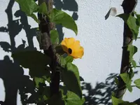 IMG00022.webp