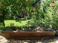 Kakteengarten.webp