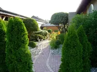 DSC02980.webp