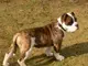 banner.webp