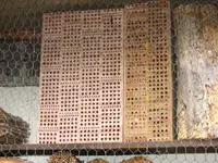 Bild 375.webp