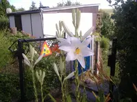 gartentime1.webp