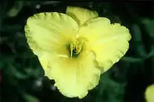 detail_QuickResults_300x219_225x150.webp