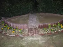 DSCF2568.webp