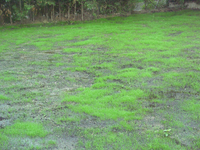 s_DSCN2123.webp