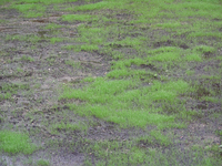 s_DSCN2121.webp