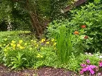 garten-juli_008_200x150.webp