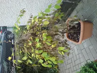 DSC06171.webp