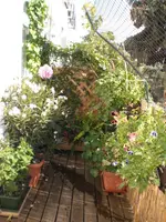terrasse180708.webp