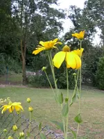 PICT0126.webp