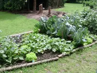 DSCN1620.webp