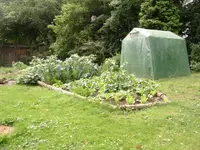 DSCN1622.webp