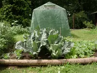 DSCN1625.webp
