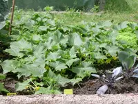 DSCN1627.webp