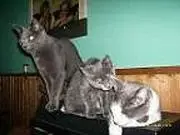 Alischa mit neuen Freunden.webp