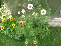 CIMG3831.webp