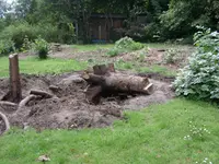 DSCN1624.webp