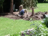 DSCN1631.webp
