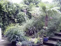 PICT0080.webp