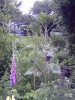 PICT0083.webp