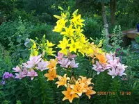 garten2.webp