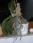 PIC_0112.JPG