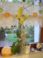PIC_0113.webp