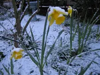 IMG_2682.webp