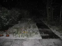 IMG_2691.webp