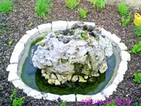 PIC00156_edited (Small) (2).webp