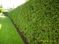 Test 633.webp