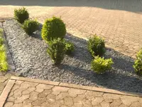 Stadtbeet 1.webp